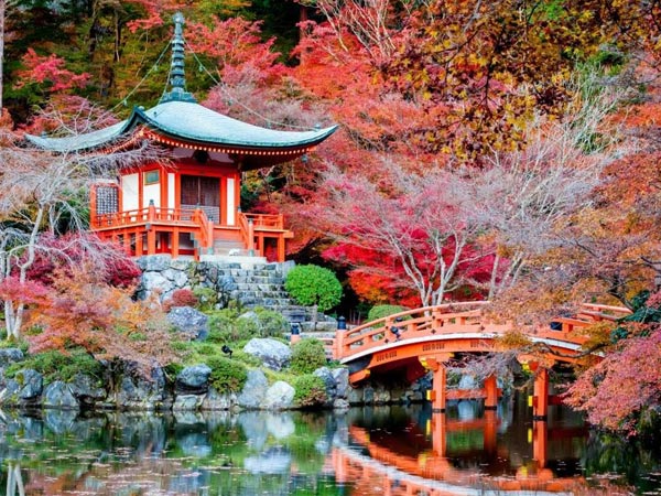 Xứ Phù Tang - Điểm du lịch Nhật Bản ước mơ của bao du khách